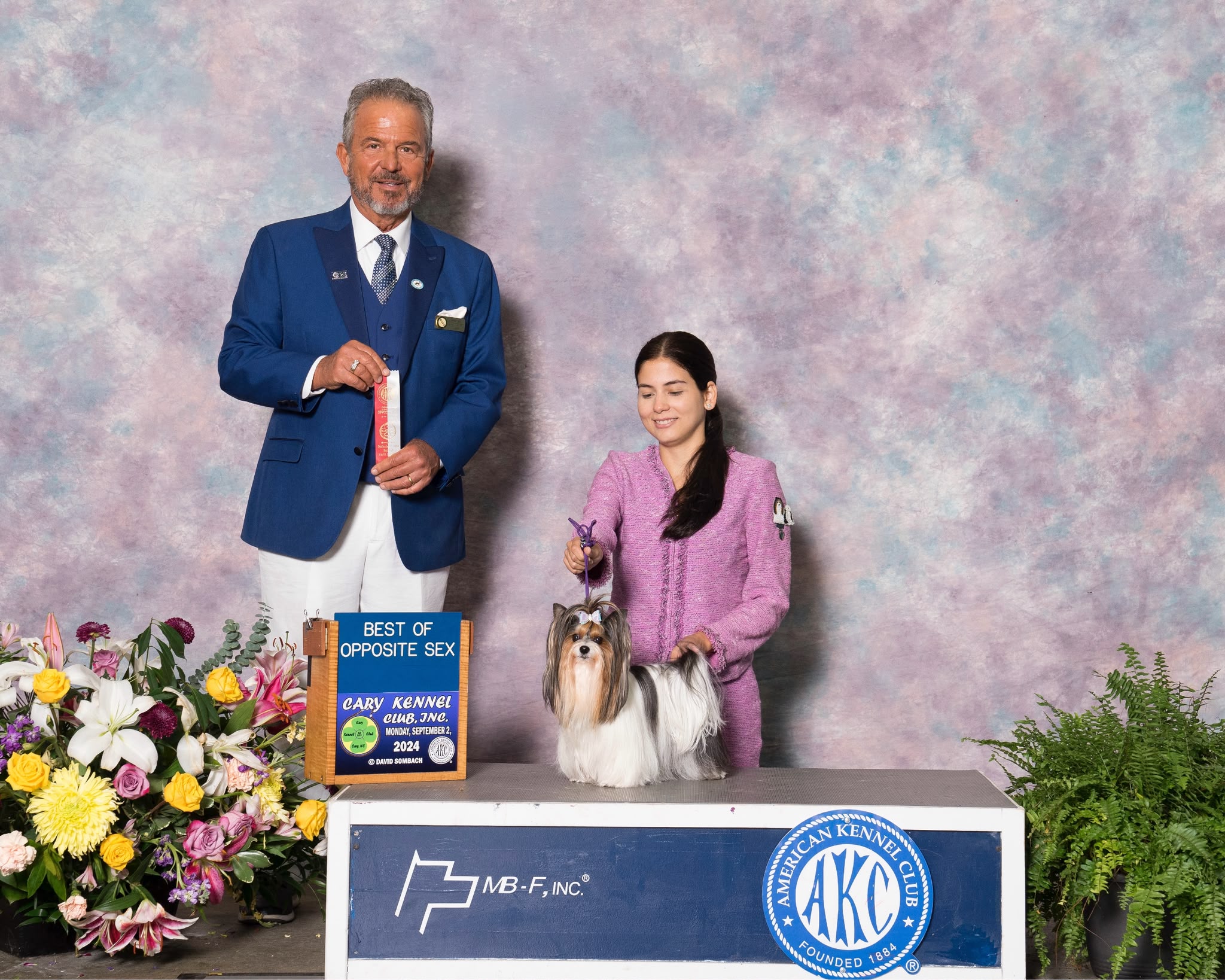 Nicole Mercado presenting a Biewer Terrier with the judge