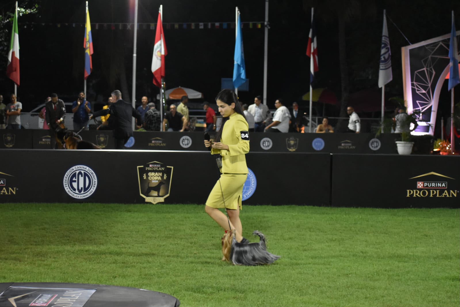 Nicole Mercado in the show ring with a Yorkshire Terrier and the judge