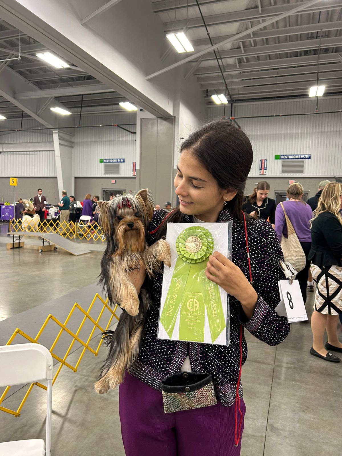 Nicole Mercado gaiting a Yorkshire Terrier in the ring