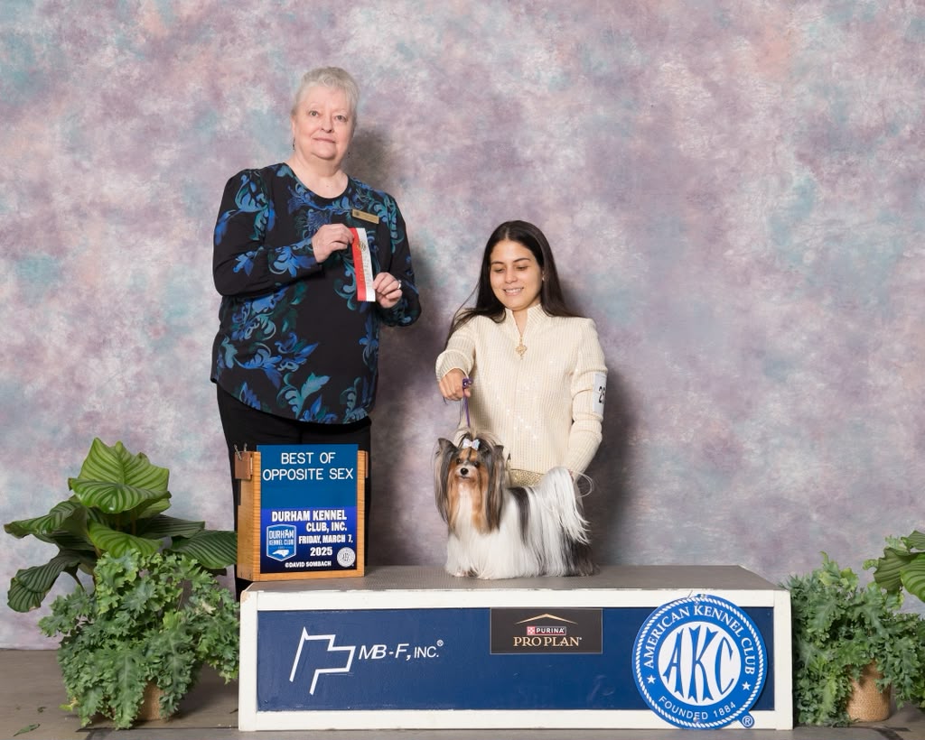 Nicole Mercado holding a Yorkshire Terrier puppy and a ribbon